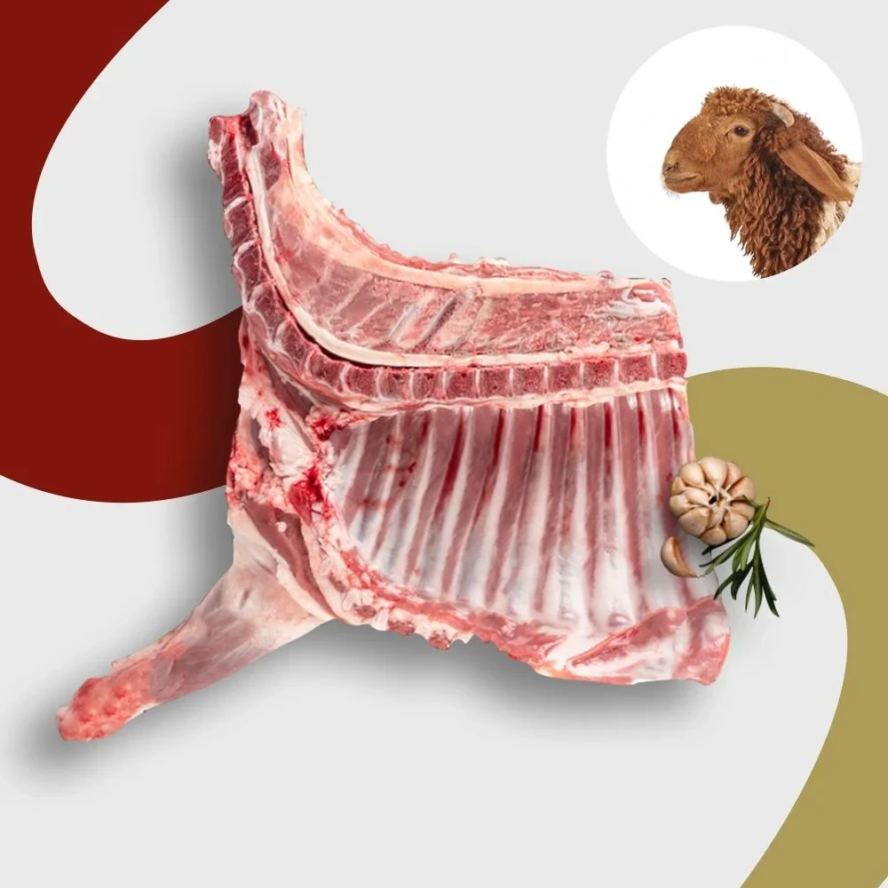 Naeemi sheep