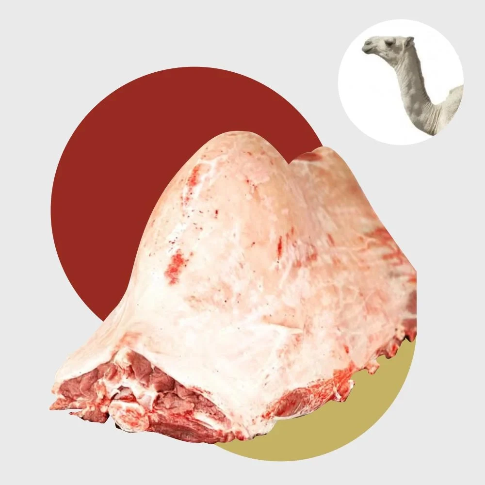 camel hump